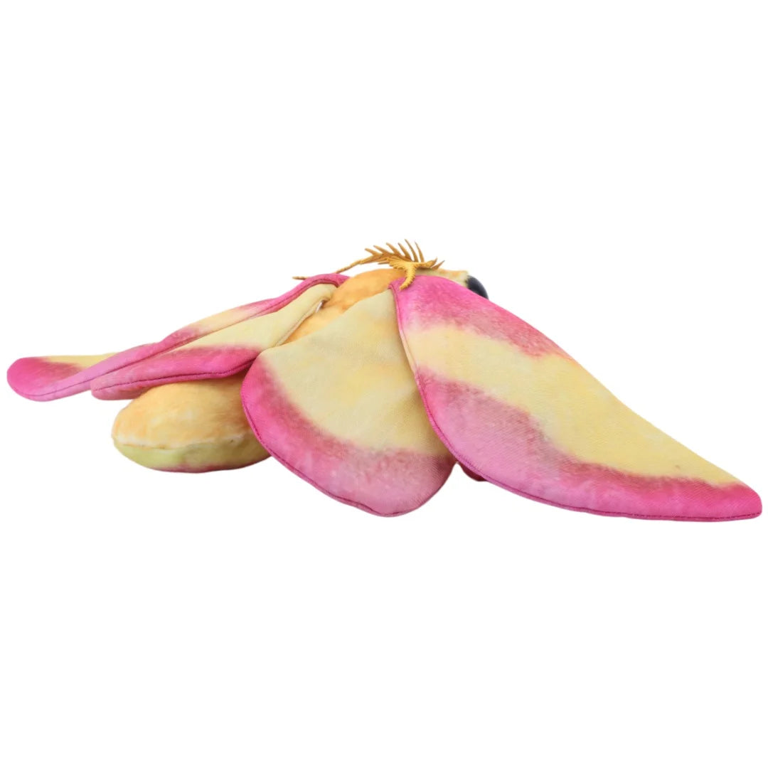 Cute Luna Moth and Rosy Maple Moth Plush Toys Soft Stuffed Animal Plushie for Insect Lovers Gift Idea