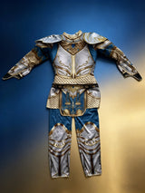 Knight Costume Kids Soft Cosplay Silver Gold And Blue Long Sleeve Set Book Week Halloween