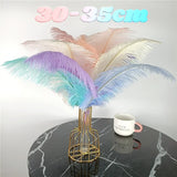 10Pcs/Lot Ostrich Feathers 30-50cm DIY Crafts
