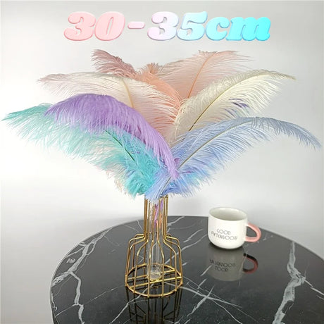 10Pcs/Lot Ostrich Feathers 30-50cm DIY Crafts