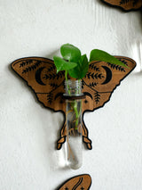 Butterfly Wall-Mounted Propagation Station Wooden Hanging Plant Holder with Plastic Tubes for Indoor Plants