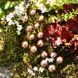 Mini Metal Mushrooms Decorative Garden Stakes