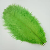 10Pcs/Lot Ostrich Feathers 30-50cm DIY Crafts