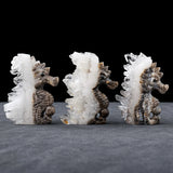 Seahorse Figurine Natural Healing Crystal Stone Clear Quartz Cluster