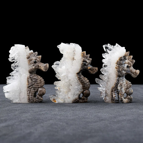 Seahorse Figurine Natural Healing Crystal Stone Clear Quartz Cluster