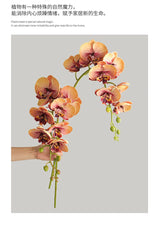 1 Stem Artificial Moth Orchid Butterfly Flower