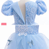 Cinderella Princess Dress Costume Sets