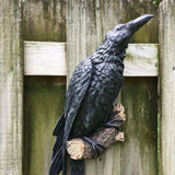 Quoth the Raven Resin Statue Halloween Decor