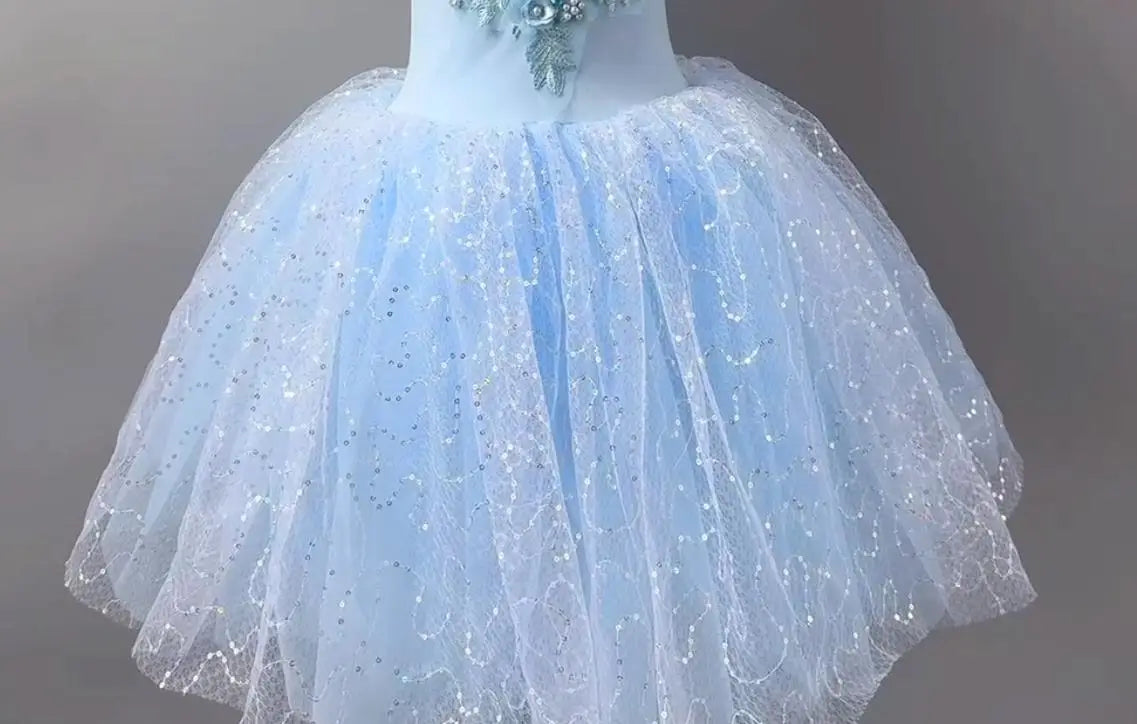 Long Ballet Tutu Dress Dance Performance Dress