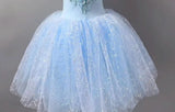 Long Ballet Tutu Dress Dance Performance Dress