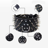 ROAWRRR Dragon Laser Leather Ultra-wide Small and Medium Dog Collar Pet Accessories