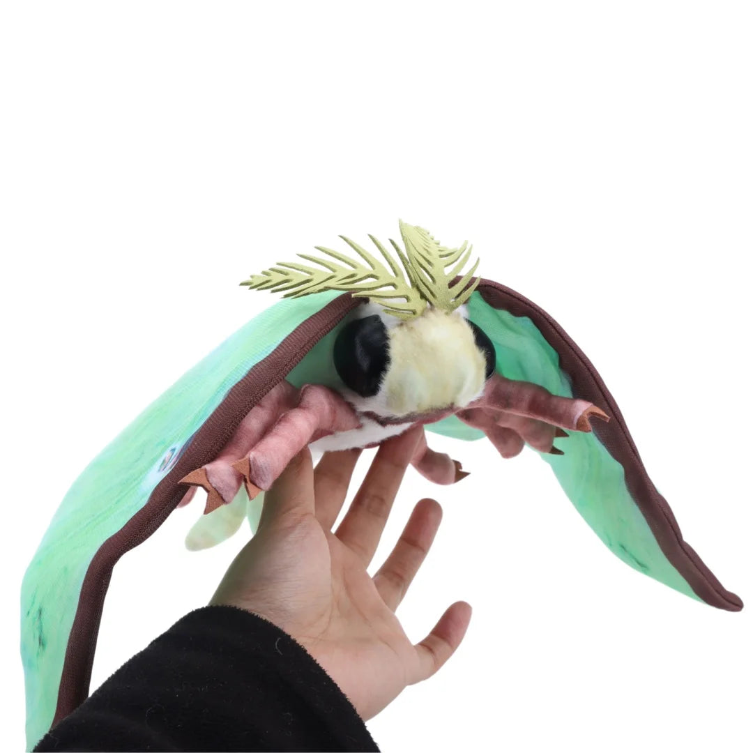 Cute Luna Moth and Rosy Maple Moth Plush Toys Soft Stuffed Animal Plushie for Insect Lovers Gift Idea
