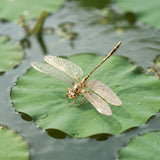 Handmade Dragonfly Ornament Tea Pet Decor Figurine