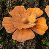 1pc Rusty Metal Flower Garden Decorative Ground Stakes