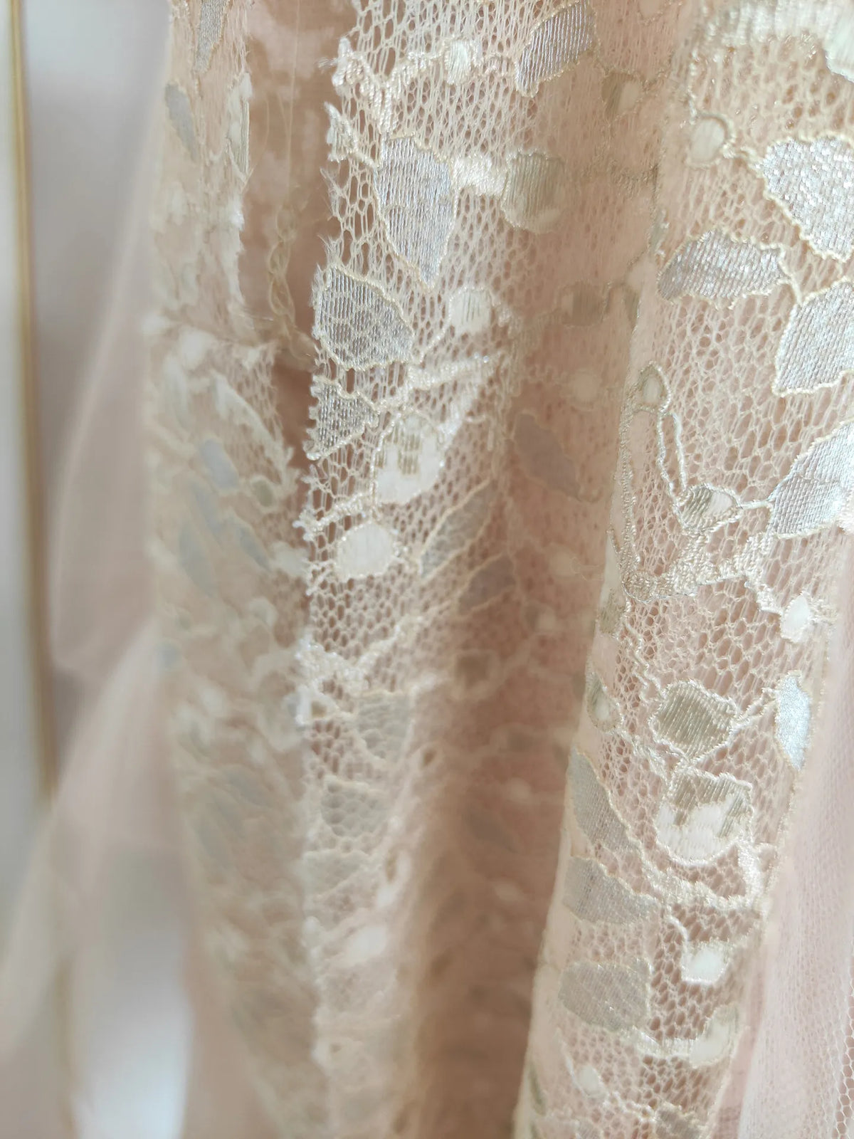 Sylvie's French Lace Embroidered Mesh Evening Dress