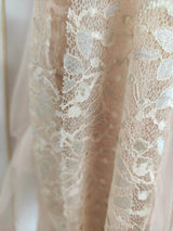 Sylvie's French Lace Embroidered Mesh Evening Dress