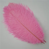 10Pcs/Lot Ostrich Feathers 30-50cm DIY Crafts