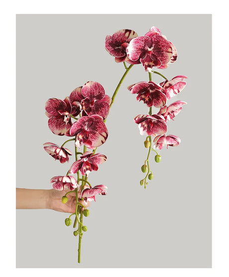 1 Stem Artificial Moth Orchid Butterfly Flower
