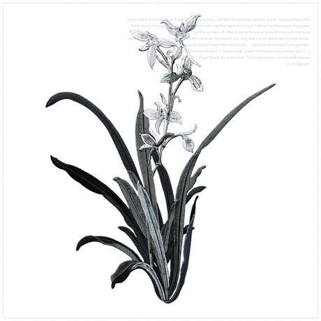 Orchid Flower Iron on Applique Floral Patch DIY Craft 19 X 24.5CM