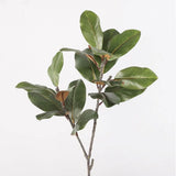 Large Artificial Magnolia Plant Rubber Leaves 2 Forks Simulated Magnolia Tree Branch 110cm Artificial Plants