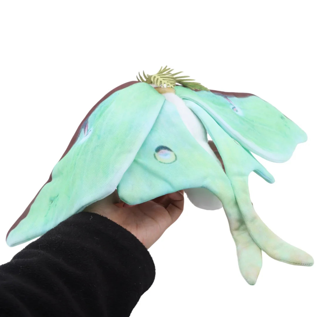 Cute Luna Moth and Rosy Maple Moth Plush Toys Soft Stuffed Animal Plushie for Insect Lovers Gift Idea