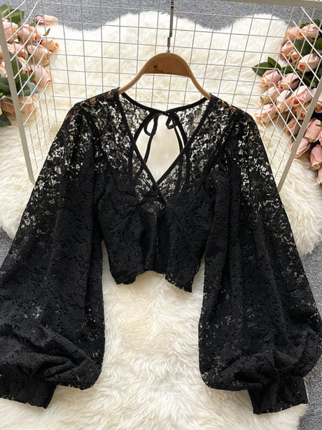 Lace Crop Top Black/White/Brown Long Lantern Sleeve