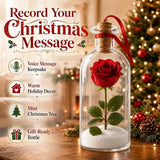 Recordable Christmas Tree Message Bottle Christmas Tree Ornaments Nostalgic Voice Capture