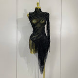 Sparkly Rhinestones Fringed Latin Dance Outfits Stage Performance Costume