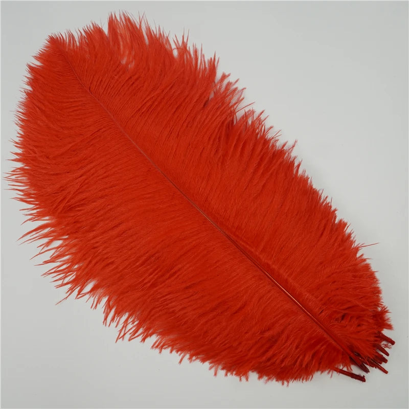 10Pcs/Lot Ostrich Feathers 30-50cm DIY Crafts