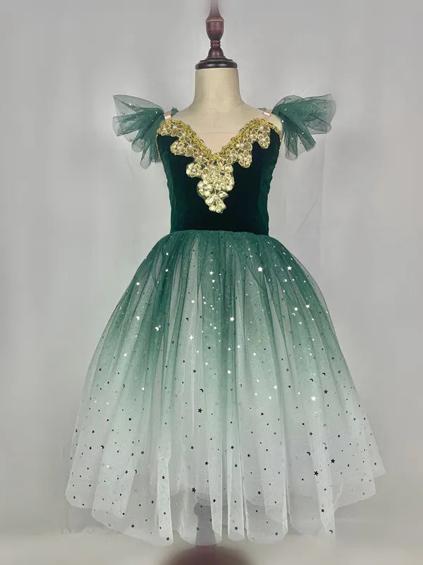Fae Ballerina Aurora's Long Ballet Dance Dress Children Women