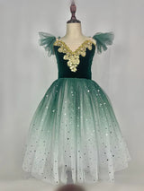 Fae Ballerina Aurora's Long Ballet Dance Dress Children Women