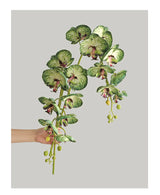 1 Stem Artificial Moth Orchid Butterfly Flower