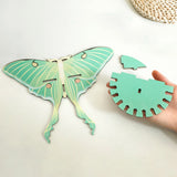 Luna Moth Necklace Display Wooden Floating Shelves Boho Home Decoration