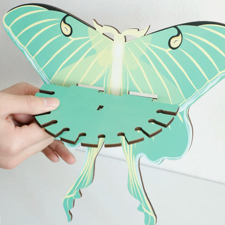 Luna Moth Necklace Display Wooden Floating Shelves Boho Home Decoration