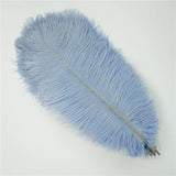 10Pcs/Lot Ostrich Feathers 30-50cm DIY Crafts