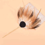 Peacock Feather Hairpins