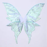 Fairy Elf Costume Wings, Ears, Wand and Hair Wreath Sets