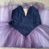Professional Ballet Long Tutu Dress Purple Dance Performance Competition Costumes
