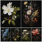 Botanical Wildflowers Mushrooms Dark Academia Wall Art Canvas Prints
