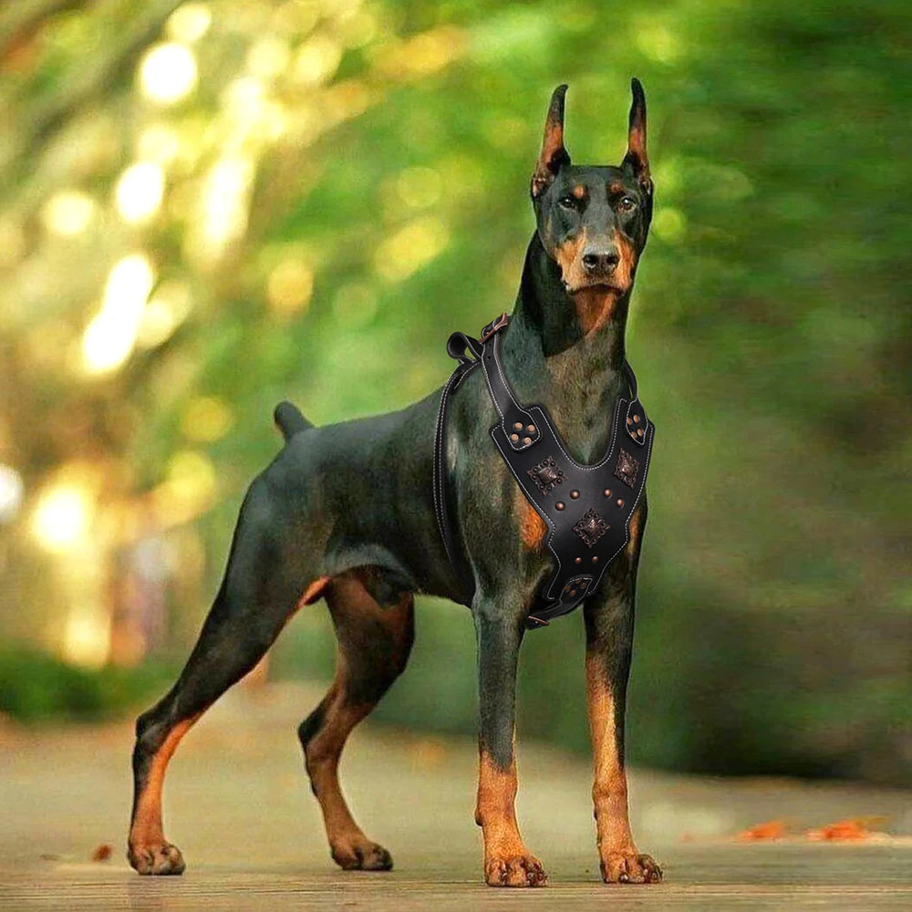 Genuine Leather Dog Harness Durable Large Dogs Riveted Pet Vest With Metal Accessories Medieval Cosplay
