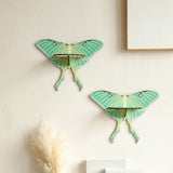 Luna Moth Necklace Display Wooden Floating Shelves Boho Home Decoration