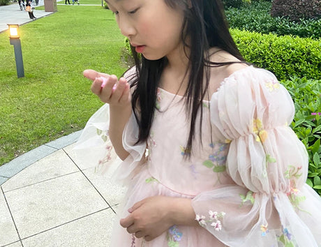 Fairy Faith's Baby Toddler Girls Birthday Dress Embroidered Butterfly Flower Girls Dress