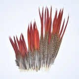 Natural Pheasant Feathers 5~25cm/2-10" DIY Crafts