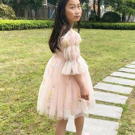 Fairy Faith's Baby Toddler Girls Birthday Dress Embroidered Butterfly Flower Girls Dress