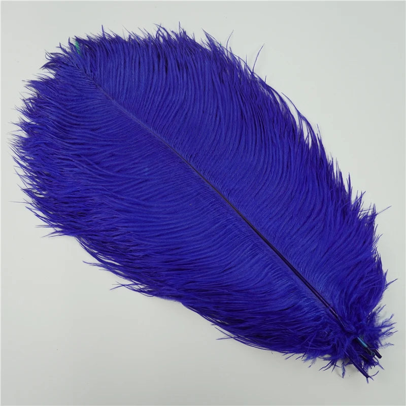 10Pcs/Lot Ostrich Feathers 30-50cm DIY Crafts