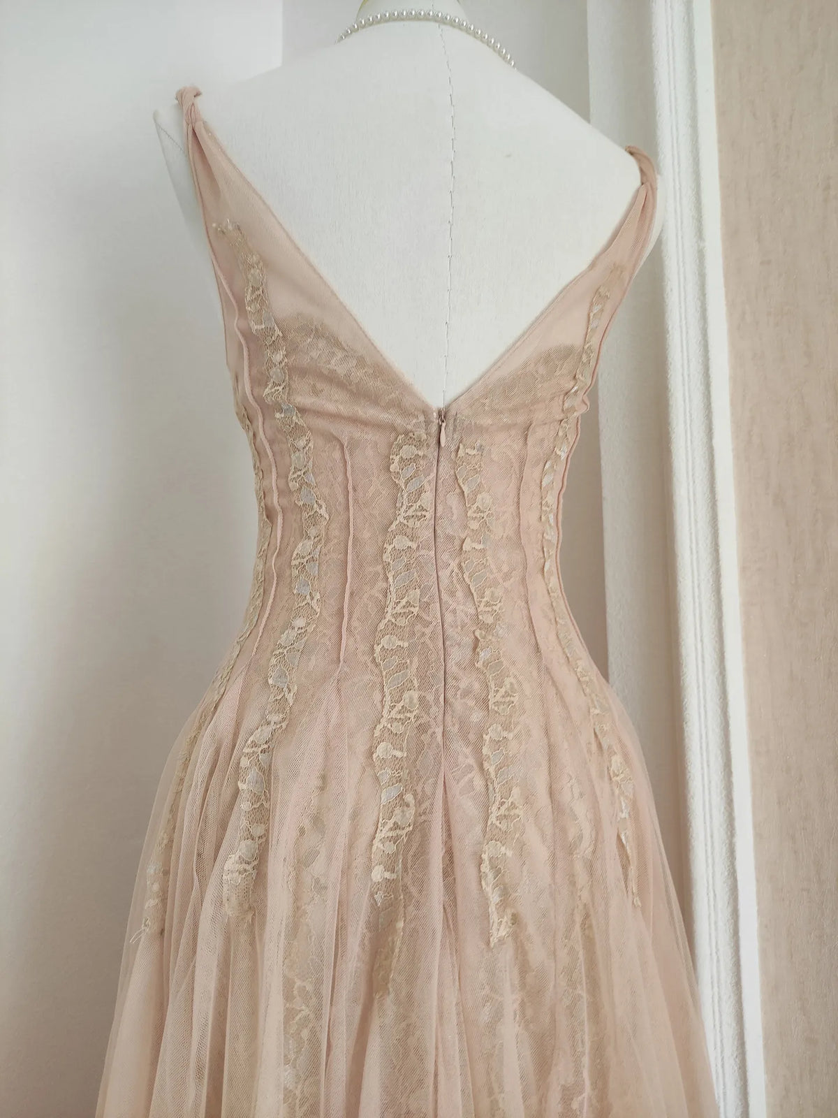 Sylvie's French Lace Embroidered Mesh Evening Dress