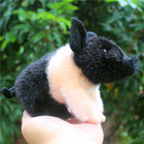 Small Piggy Miniature Pig Piglet Plushie Toy