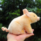 Small Piggy Miniature Pig Piglet Plushie Toy