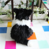 Border Collie Back & White Dog Puppy Plushie Toy