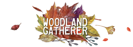 Woodland Gatherer